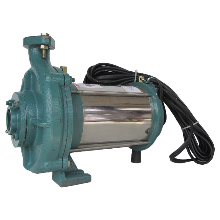 2 HP Raingun Submersible Pump