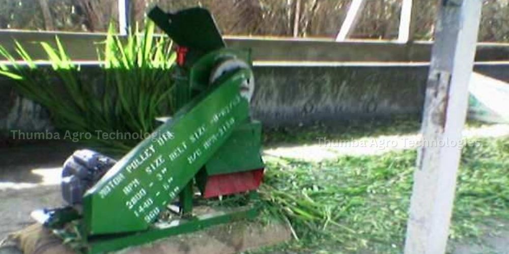 Thumba 2 HP single phase chaff cutter cum pulverizer with cut green fodder — supplied to Thiru Kamalanadhan, Pappampatti, Palani in 2007
