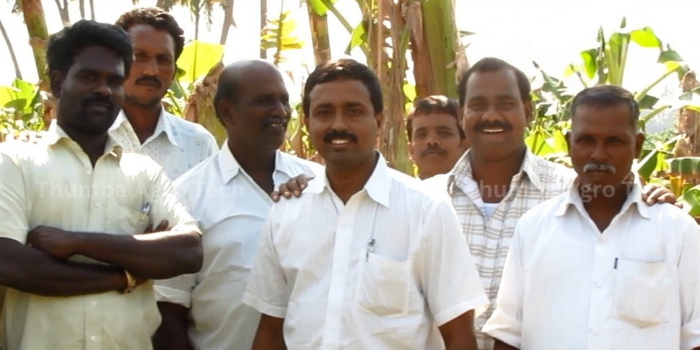 Banana farm, Jolarpettai