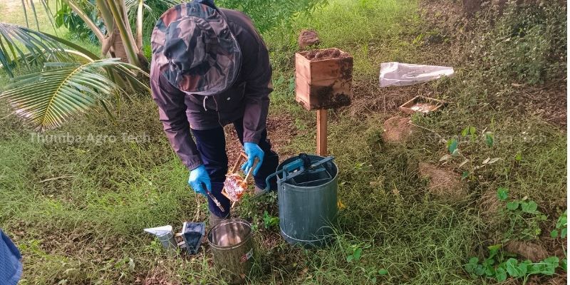 Bee keeping for natural pollination on Thumba Agro's natural and organic farm
