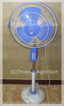 DC Pedestal Fan