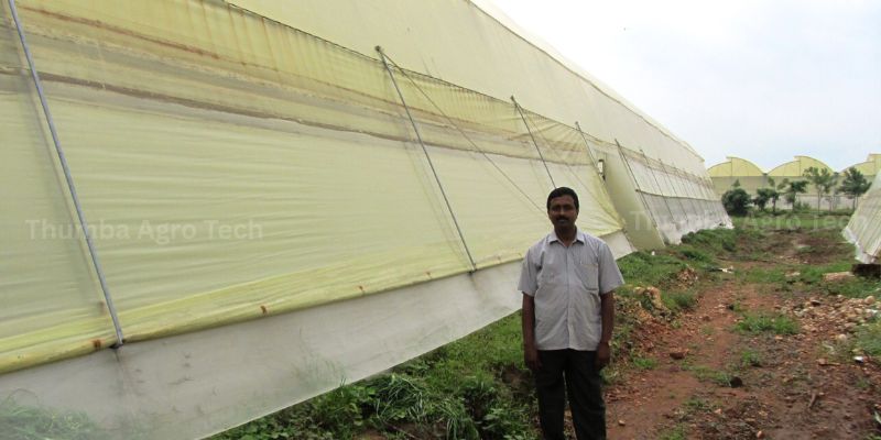 Poly House Climate Control Irrigation Projects
