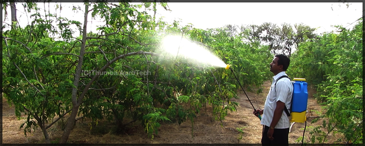 High Power Solar Battery Sprayer