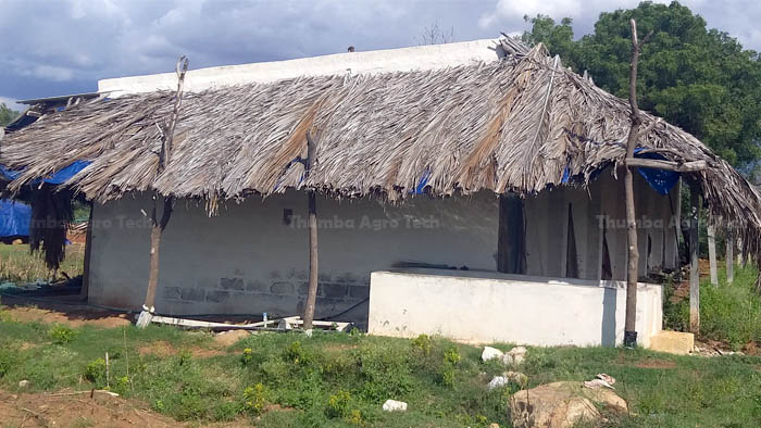 Sericulture Shed Cooling System