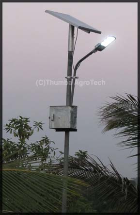 Solar Street Light