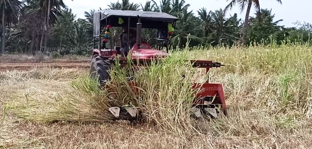 Tractor-mounted reaper harvesting Napier grass in a clean felled line for CBG bio fuel
