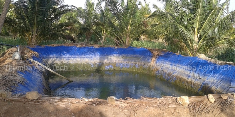 Water pond sheet with open well pumpset installation in coconut farm